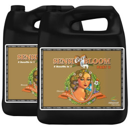 pH Perfect Connoisseur Coco Bloom B 5L - Advanced Nutrients - Aditivos Varios