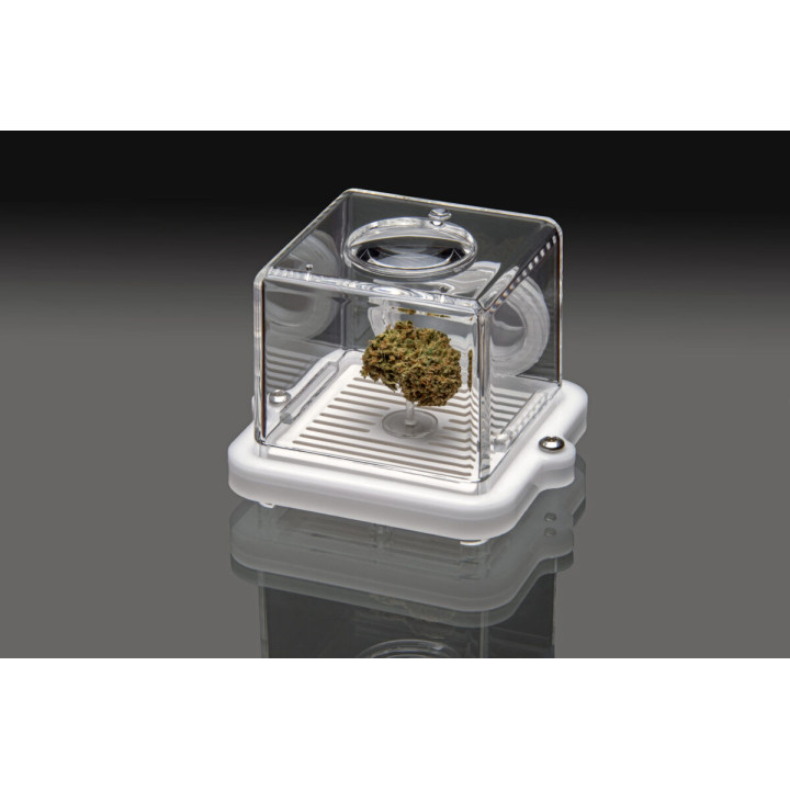 Puffer Pod White Bud Bar - Envasado Innovador para Cannabis