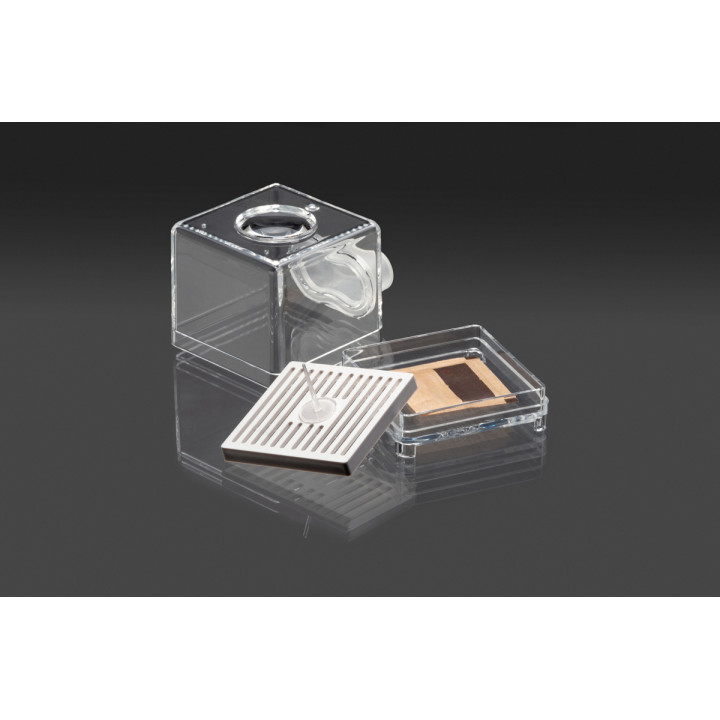Puffer Pod White Bud Bar - Envasado Innovador para Cannabis
