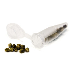 Tubo Eppendorf Pequeño - Bolsa de 1000 Unidades - Botes