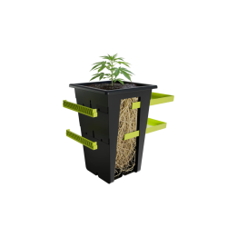 Replant - Contenedor de Cultivo Inteligente para Plantas