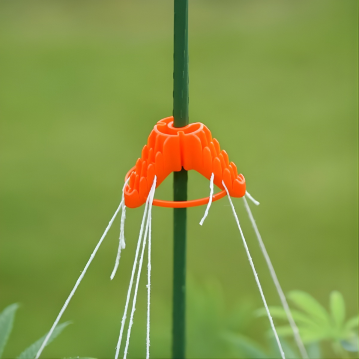 Spider Clip Stringy Thingy - Soporte para Plantas - Herramientas y Accesorios