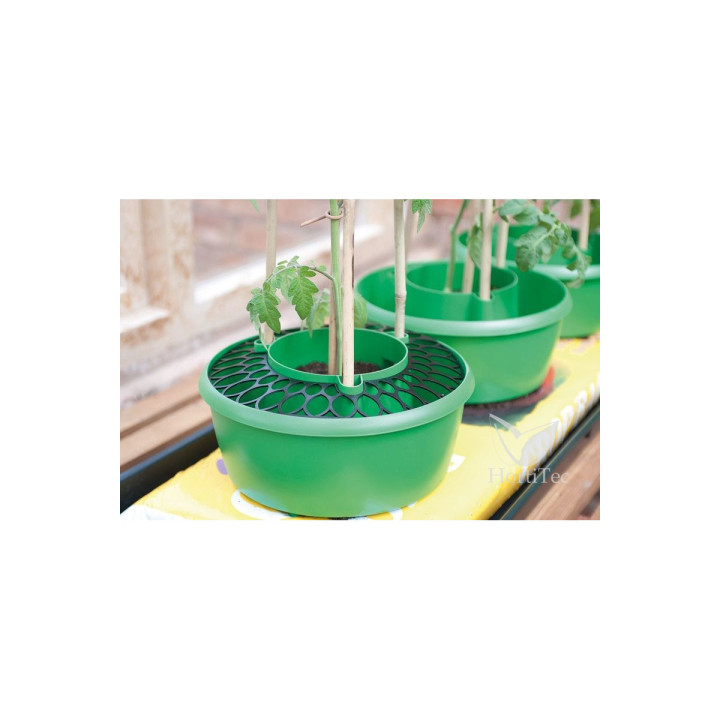 Rejilla Plant Halos GARLAND - Protección para tus plantas - Huerto Urbano Accesorios