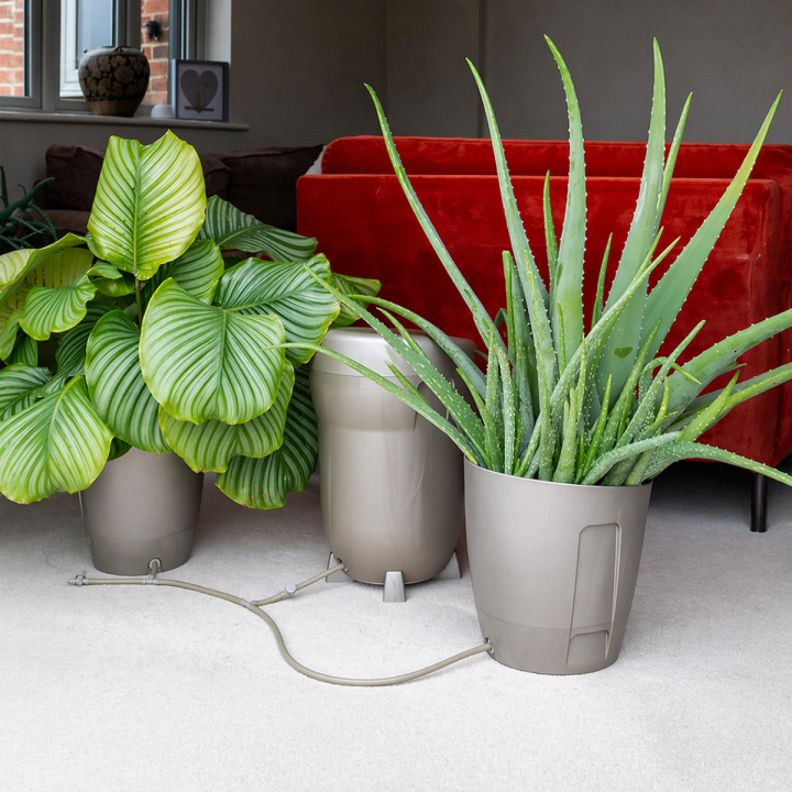 Khloris Watering System Completo - Autopot™ Morado - Sistemas de Cultivos