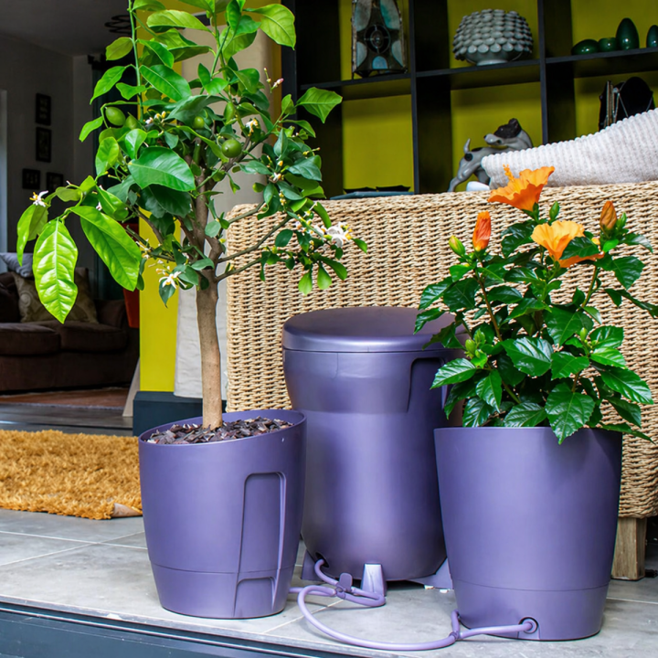 Khloris Watering System Completo - Autopot™ Morado - Sistemas de Cultivos