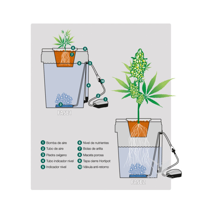 Hortipot - Sistema Hidropónico para Cultivos Eficientes - Hidroponía y Aero ponía
