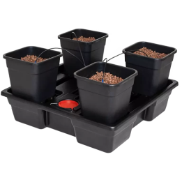 Sistema Wilma L 4 Completo 18L - Cultivo Hidropónico Eficaz - Sistemas de Cultivos