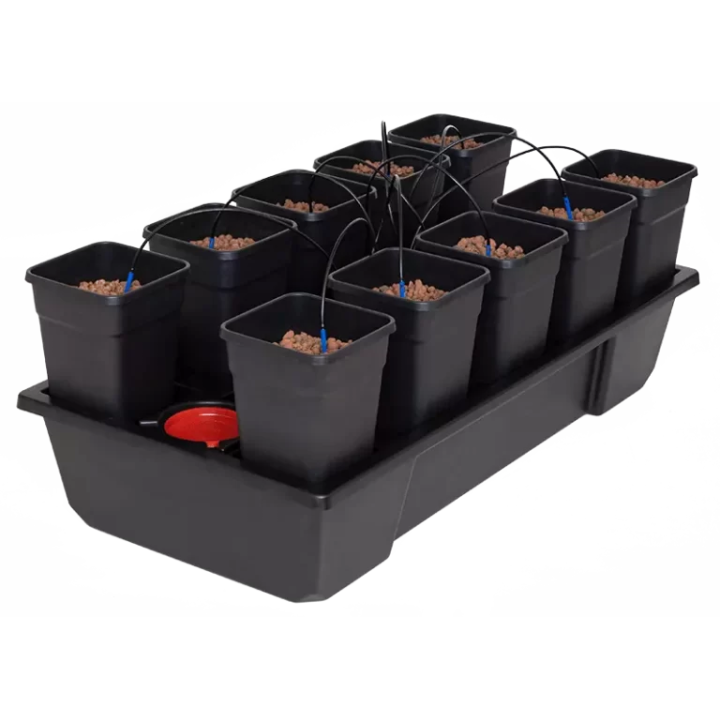 Sistema Wilma Small 10 Completo 6L - Cultivo Hidropónico - Sistemas de Cultivos
