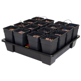 Sistema Wilma XXL 16 Completo 11L - Cultivo Hidropónico - Sistemas de Cultivos