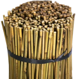 Tutor de Bambú Natural 1,05 m - Soporte para Cultivos - Tutores