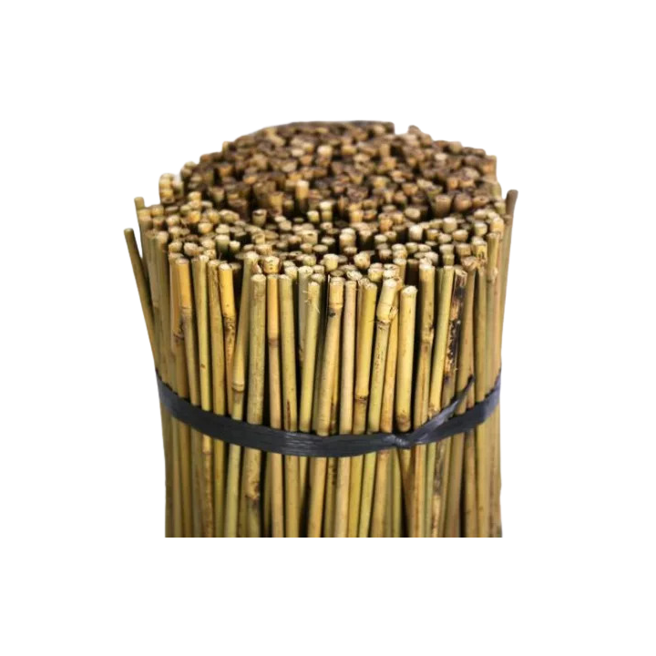 Tutor de Bambú Natural 1,05 m - Soporte para Cultivos - Tutores