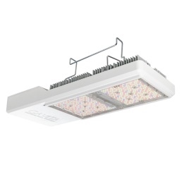 Luminaria CT 2000e LED GAVITA - Eficiencia y Rendimiento - Luminarias LED