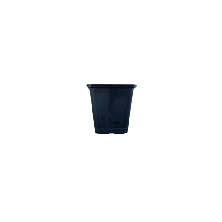 Maceta Cuadrada Hulk 2L - 100 uds | Suministros Hortícolas