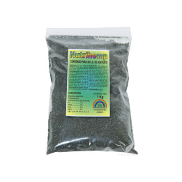 Nutrihemp 1 kg - Enriquecedor de Sustratos Trabe - Nutrientes
