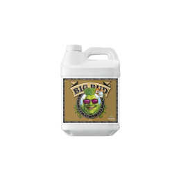 Big Bud Coco Liquid 10 L - Nutriente para Cultivos en Coco - Nutrientes