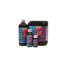 B’Cuzz Blossom Builder 250 ml - Fertilizante Atami® - Aditivos Varios
