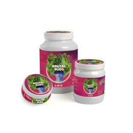 Brutal Buds 1 kg - Aditivo para Floración Eficaz - Aditivos Varios