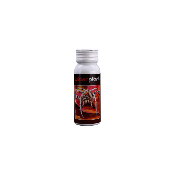 Spider Plant 60 ml - Insecticida Ecológico Agrobacterias - Insecticidas Biológicos