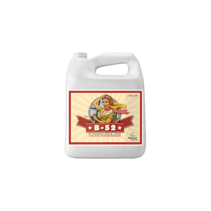 B-52 5 L Suplemento Vitamina B - Advanced Nutrients - Nutrientes